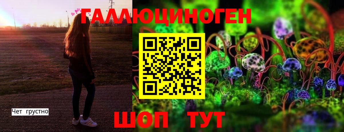 хочу наркоту  Псилоцибиновые грибы Cubensis  Вход с VPN  Осинники  Псилоцибиновые грибы ЛСД 